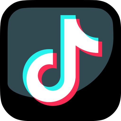 TikTok Video Views